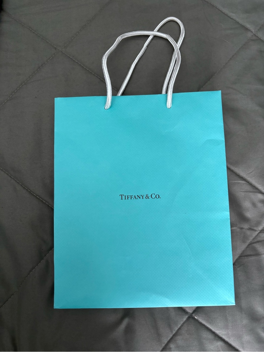 Tiffany & Co. Robin's Egg Blue Shopping Bag with White Rope Handles